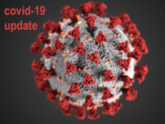 Picture of a coronavirus. Text: Covid-19 update