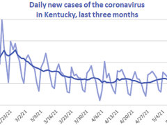 Graph showing daily new cases of the coronavirus in Kentucky over the last three months