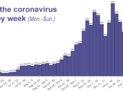 Kentucky Department for Public Health chart showing new coronavirus cases in the state by week since March