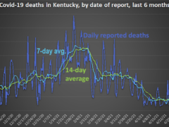 Kentucky Health News chart showing Covid-19 deaths in Kentucky by date of report for the last six months