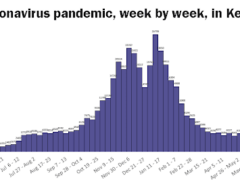 Kentucky Department of Public Health graph showing the number of coronavirus cases in Kentucky, week by week. Cases have spiked since around July 4.